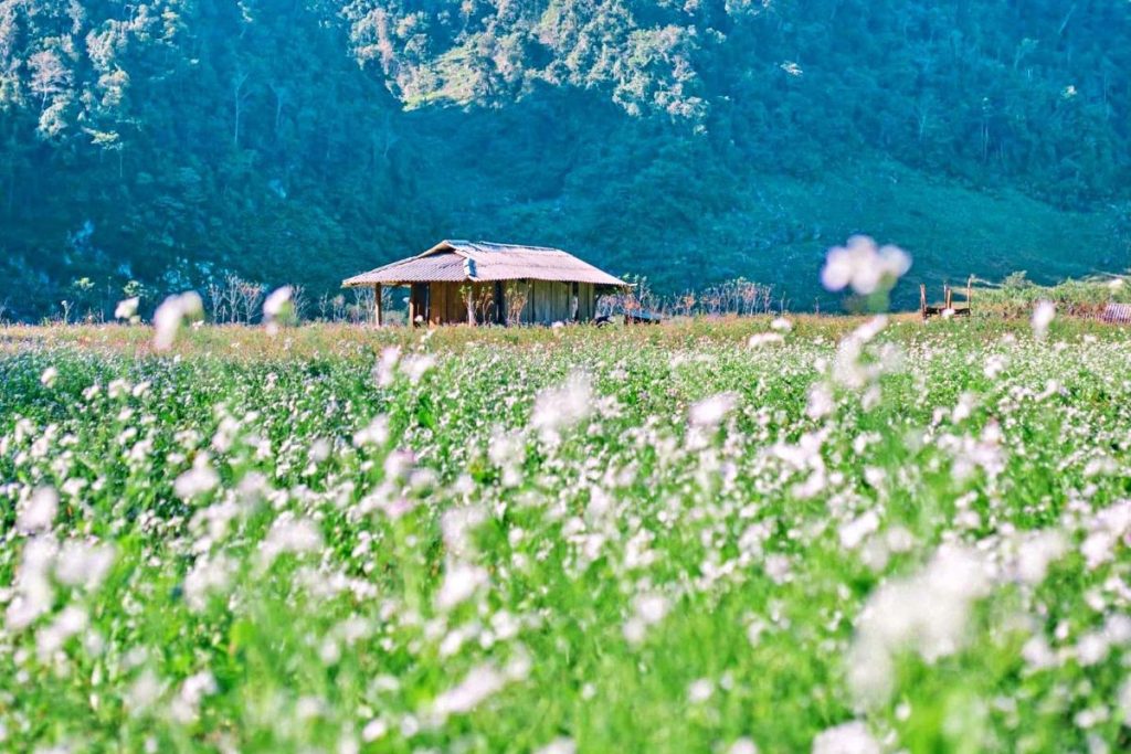 Địa điểm du lịch cắm trại mùa đông đầy đủ dịch vụ camping